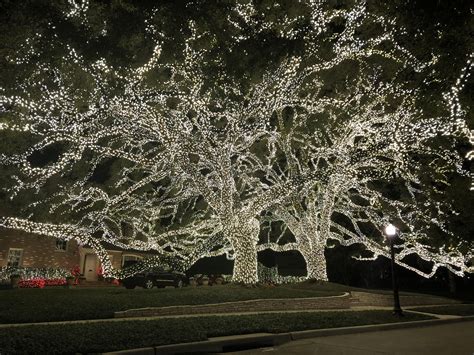 River oaks christmas lights - River Oaks Christmas Lights! Go Behind the Scenes with ABC13 News 100,000 Lights, Life Size Statues & Decorations, Artificial Snow Falling from the trees and a Real Live Santa on Fri & Sat Nights in December.